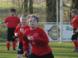 Foto des Albums: HSV Minis gegen Altlüdersdorf