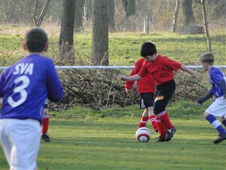 Foto des Albums: HSV Minis gegen Altlüdersdorf