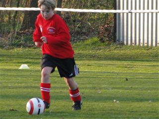 Foto des Albums: HSV Minis gegen Altlüdersdorf