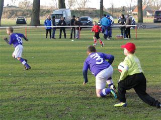Foto des Albums: HSV Minis gegen Altlüdersdorf