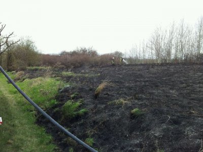 Foto des Albums: Ödlandbrand am Radweg Falkenhagen nach Ahrendorf