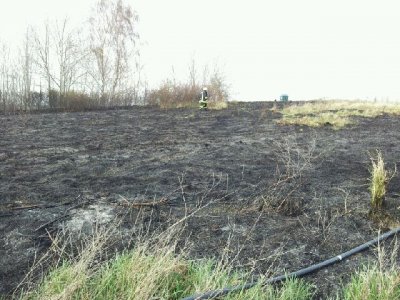 Foto des Albums: Ödlandbrand am Radweg Falkenhagen nach Ahrendorf