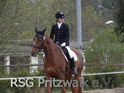 Foto des Albums: erste Fotos von 5.Pritzwalker Reitturnier