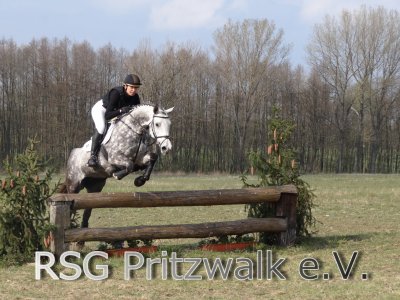 Foto des Albums: erste Fotos von 5.Pritzwalker Reitturnier