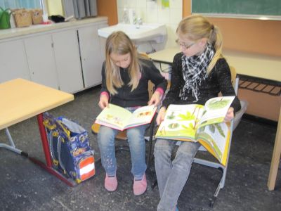 Foto des Albums: Lesekoffer Projekt in der 3b