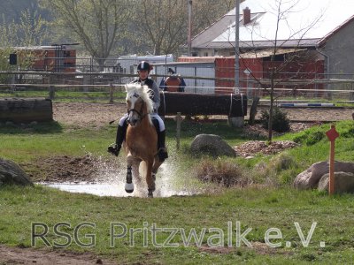 Foto des Albums:  Fotos von 5. Reitturnier der RSG Pritzwalk e.V.