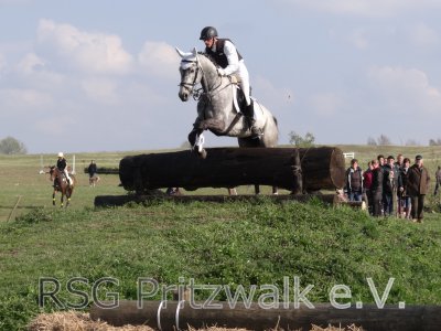 Foto des Albums:  Fotos von 5. Reitturnier der RSG Pritzwalk e.V.