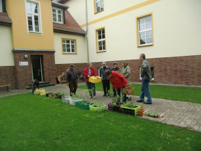 Foto des Albums: Pflanzentauschmarkt 2012 (07. 05. 2012)