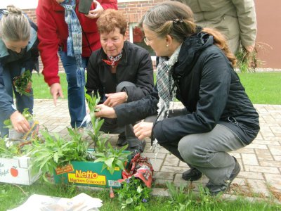 Foto des Albums: Pflanzentauschmarkt 2012 (07. 05. 2012)