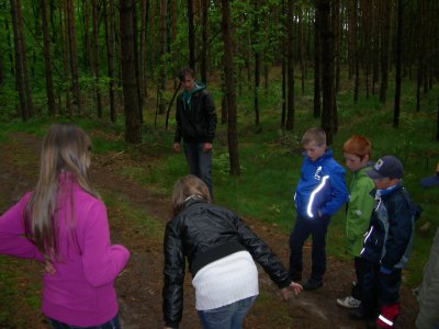 Foto des Albums: "Erlebter Frühling" am Lehrpfad der OS mit GT Glöwen (16. 05. 2012)