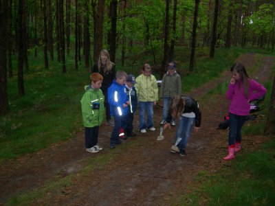 Foto des Albums: "Erlebter Frühling" am Lehrpfad der OS mit GT Glöwen (16. 05. 2012)