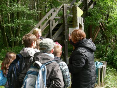 Foto des Albums: "Erlebter Frühling" am Lehrpfad der OS mit GT Glöwen (16. 05. 2012)