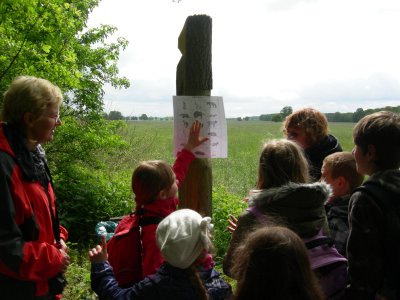 Foto des Albums: "Erlebter Frühling" am Lehrpfad der OS mit GT Glöwen (16. 05. 2012)