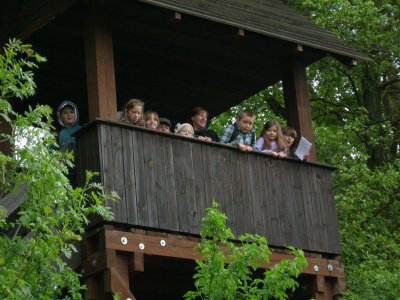 Foto des Albums: "Erlebter Frühling" am Lehrpfad der OS mit GT Glöwen (16. 05. 2012)