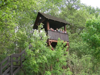 Foto des Albums: "Erlebter Frühling" am Lehrpfad der OS mit GT Glöwen (16. 05. 2012)