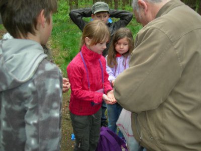 Foto des Albums: "Erlebter Frühling" am Lehrpfad der OS mit GT Glöwen (16. 05. 2012)