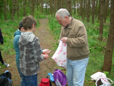 Foto des Albums: "Erlebter Frühling" am Lehrpfad der OS mit GT Glöwen (16. 05. 2012)