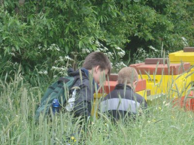 Foto des Albums: Projekttage zum Thema "Natur" (Gruppe: Biene Maja)