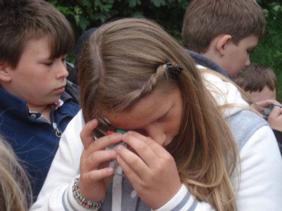 Foto des Albums: Projekttage zum Thema "Natur" (Gruppe: Biene Maja)