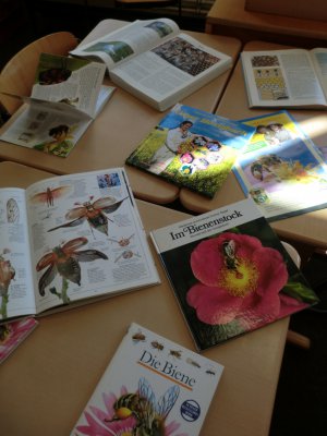 Foto des Albums: Projekttage zum Thema "Natur" (Gruppe: Biene Maja)