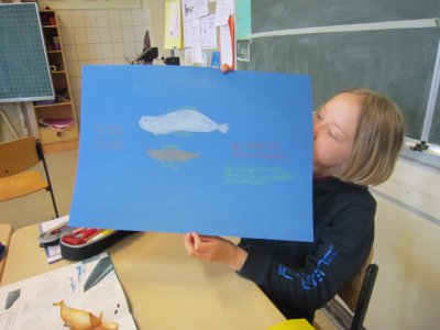 Foto des Albums: Projekttage zum Thema "Natur" (Gruppe: Ostsee - Meer erleben)