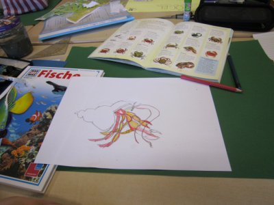 Foto des Albums: Projekttage zum Thema "Natur" (Gruppe: Ostsee - Meer erleben)