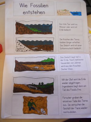 Foto des Albums: Projekttage zum Thema "Natur" (Gruppe: Steine)