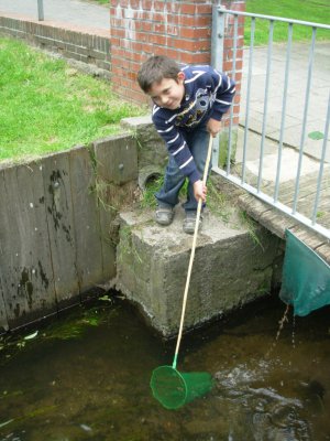 Foto des Albums: Projekttage zum Thema "Natur" (Gruppe: Frösche und Teich)
