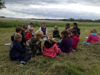 Foto des Albums: Projekttage zum Thema "Natur" (Gruppe: Wiese)