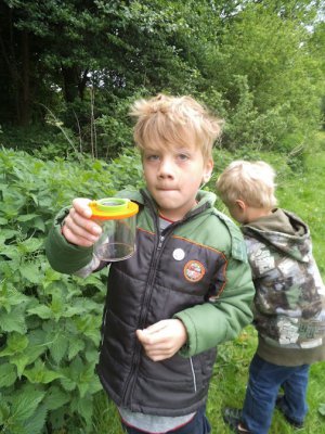 Foto des Albums: Projekttage zum Thema "Natur" (Gruppe: Wiese)