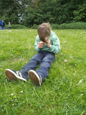 Foto des Albums: Projekttage zum Thema "Natur" (Gruppe: Wiese)