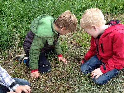 Foto des Albums: Projekttage zum Thema "Natur" (Gruppe: Wiese)