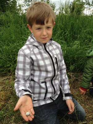 Foto des Albums: Projekttage zum Thema "Natur" (Gruppe: Wiese)