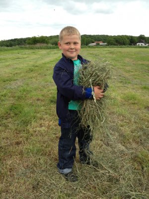 Foto des Albums: Projekttage zum Thema "Natur" (Gruppe: Wiese)