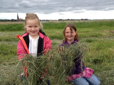 Foto des Albums: Projekttage zum Thema "Natur" (Gruppe: Wiese)