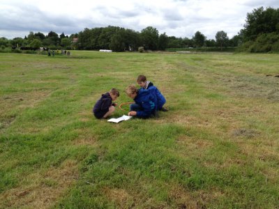 Foto des Albums: Projekttage zum Thema "Natur" (Gruppe: Wiese)
