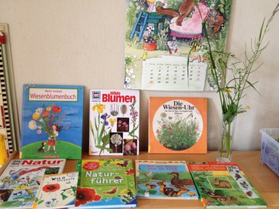Foto des Albums: Projekttage zum Thema "Natur" (Gruppe: Wiese)