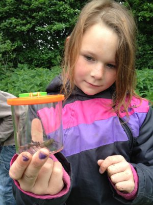 Foto des Albums: Projekttage zum Thema "Natur" (Gruppe: Wiese)