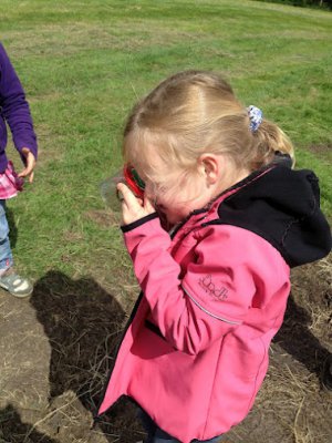 Foto des Albums: Projekttage zum Thema "Natur" (Gruppe: Wiese)