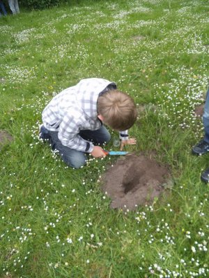 Foto des Albums: Projekttage zum Thema "Natur" (Gruppe: Wiese)