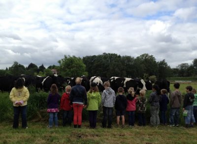 Foto des Albums: Projekttage zum Thema "Natur" (Gruppe: Wiese)