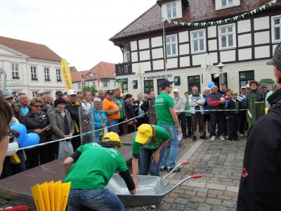 Foto des Albums: Die Pritzwalker empfangen ihre Gäste aus Kyritz