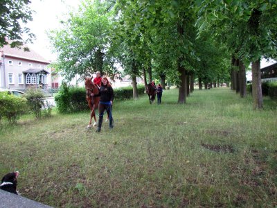 Foto des Albums: Kindertagsfeier 2012 in Gehren