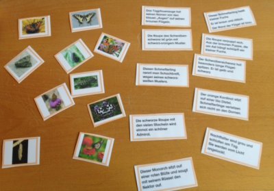 Foto des Albums: Projekttage zum Thema "Natur" (Gruppe: Schmetterlinge)