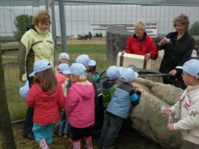 Foto des Albums: Schatzsucher im OT Schadeleben