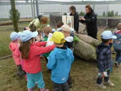 Foto des Albums: Schatzsucher im OT Schadeleben