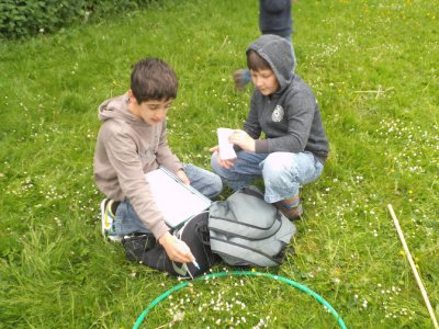 Foto des Albums: Projekttage zum Thema "Natur" (Gruppe: Abenteuer Wiese)