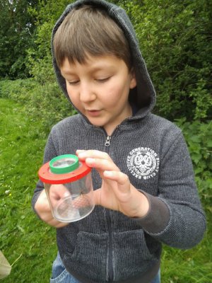 Foto des Albums: Projekttage zum Thema "Natur" (Gruppe: Abenteuer Wiese)