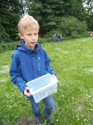 Foto des Albums: Projekttage zum Thema "Natur" (Gruppe: Abenteuer Wiese)