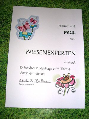 Foto des Albums: Projekttage zum Thema "Natur" (Gruppe: Abenteuer Wiese)